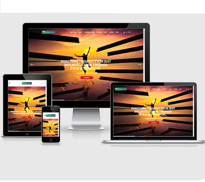 PRO-S Profesjonalne Strony Internetowe